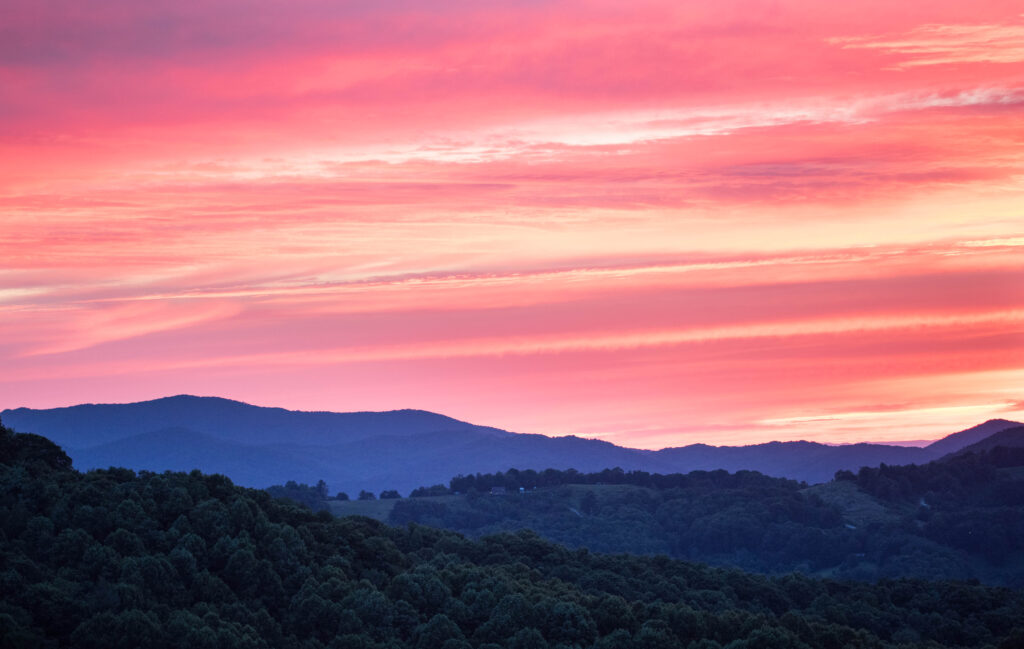 This image has an empty alt attribute; its file name is Sally-Woodring-2-1024x649.jpg