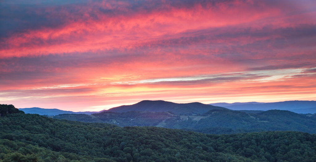 This image has an empty alt attribute; its file name is Sally-Woodring-1-1024x524.jpg